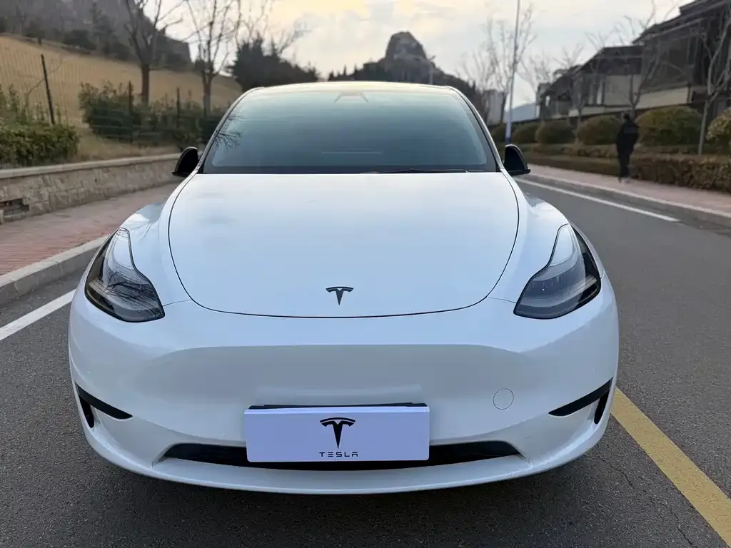 Tesla Model Y — фото 2