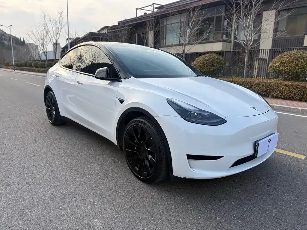 Tesla Model Y — фото 7