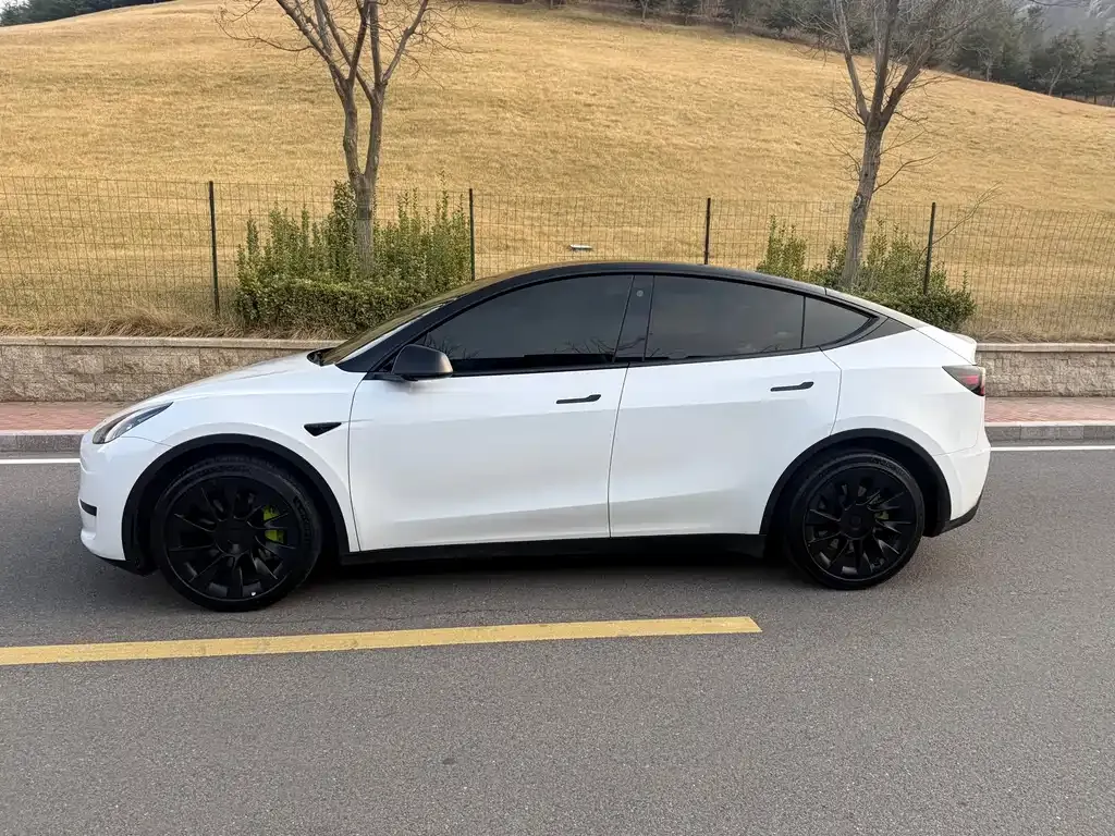 Tesla Model Y — фото 8