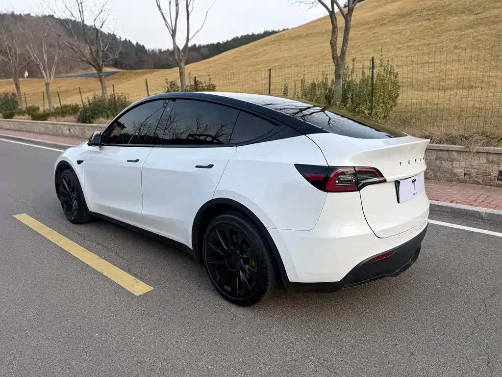 Tesla Model Y — фото 9