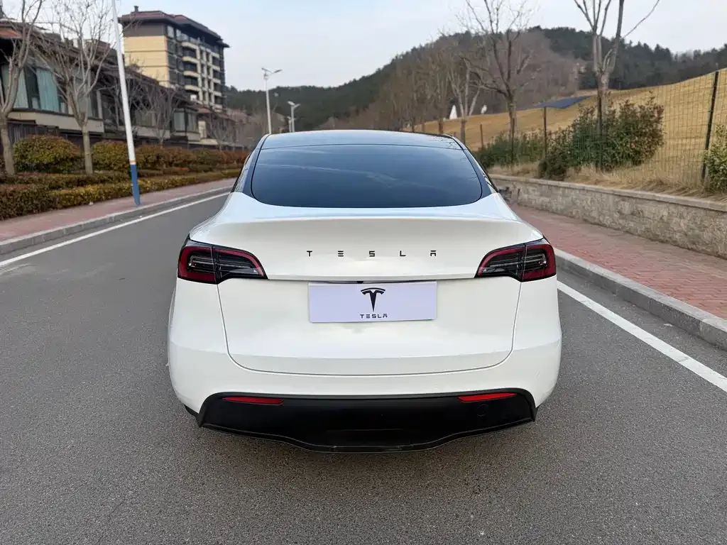 Tesla Model Y — фото 10