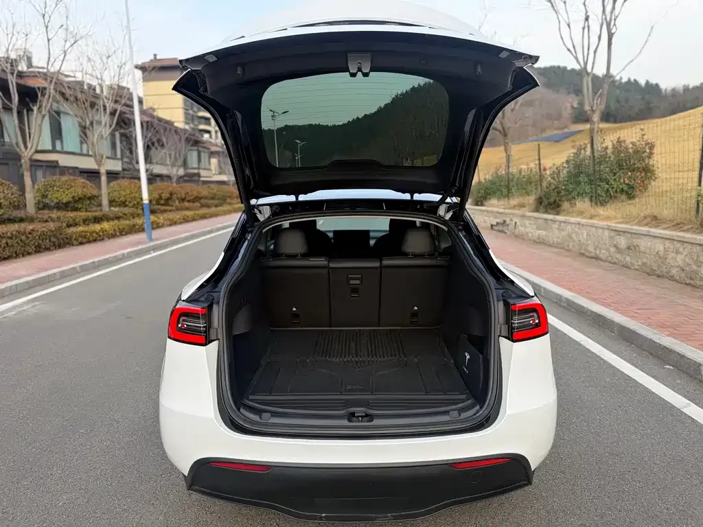 Tesla Model Y — фото 6