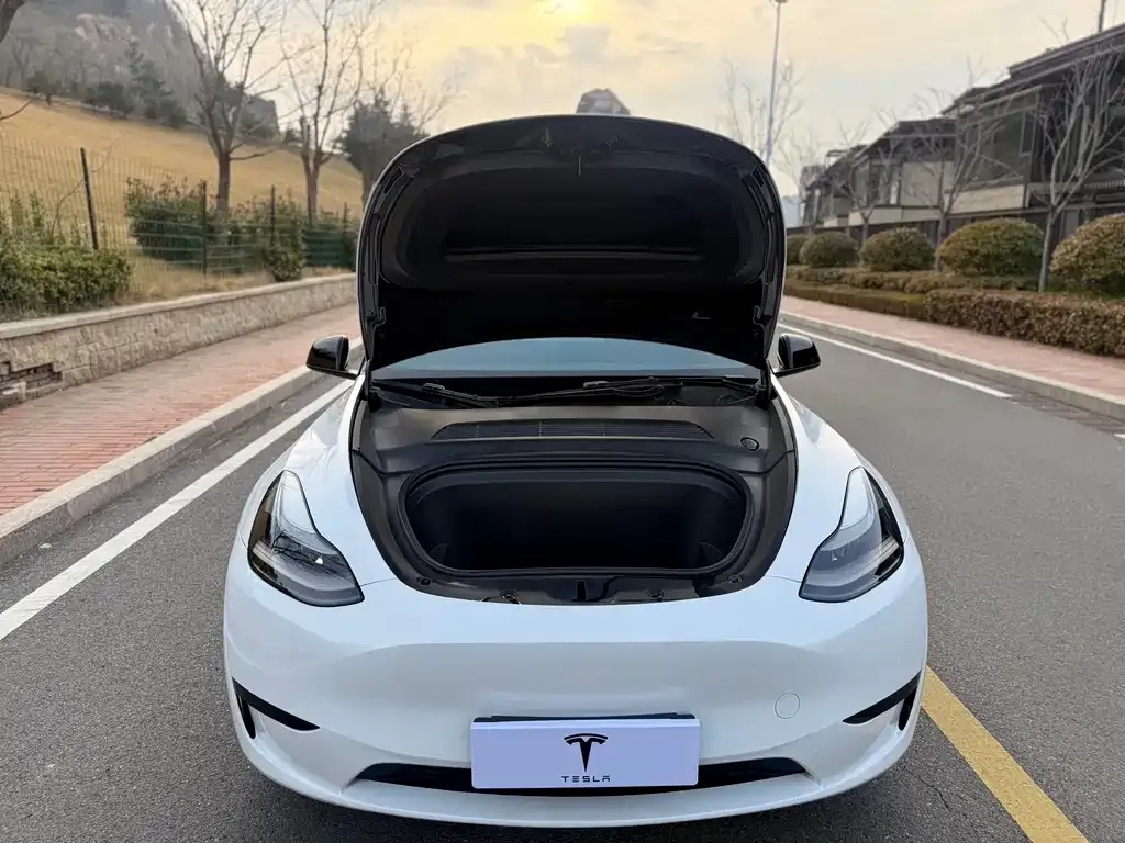 Tesla Model Y — фото 5