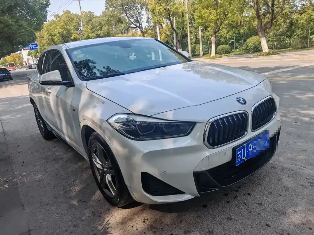 BMW X2 2021 из CN, фото 6
