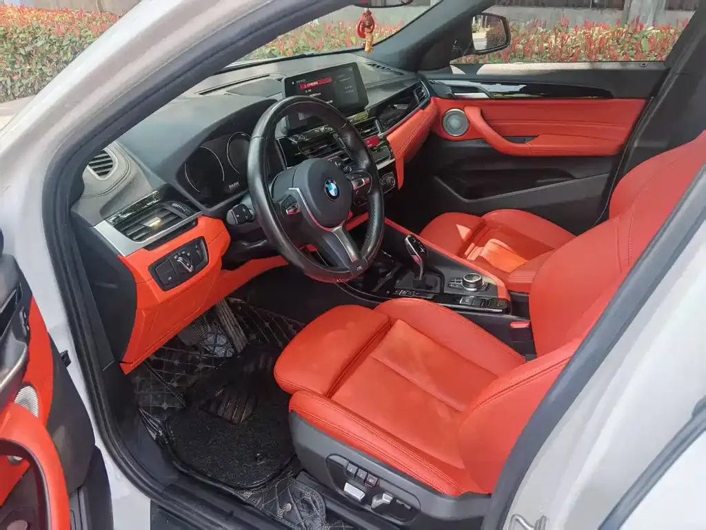 BMW X2 2021 из CN, фото 5