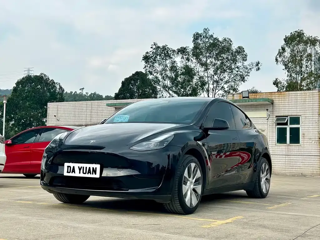 Tesla Model Y 2023 из CN, фото 1
