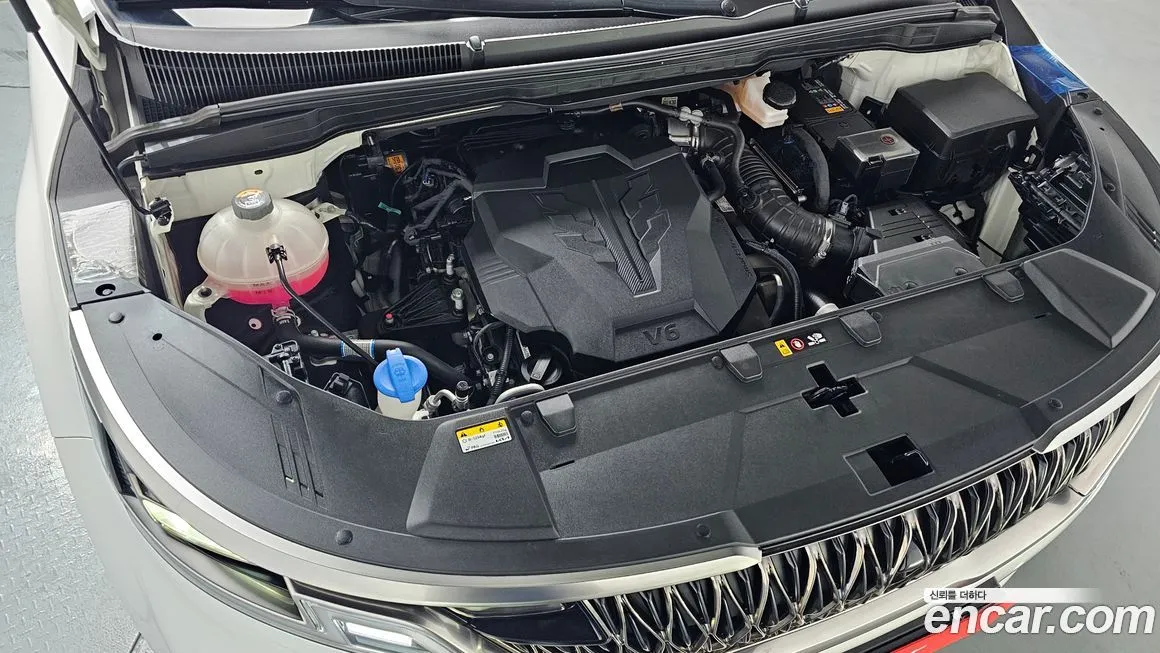 Kia Carnival — фото 10