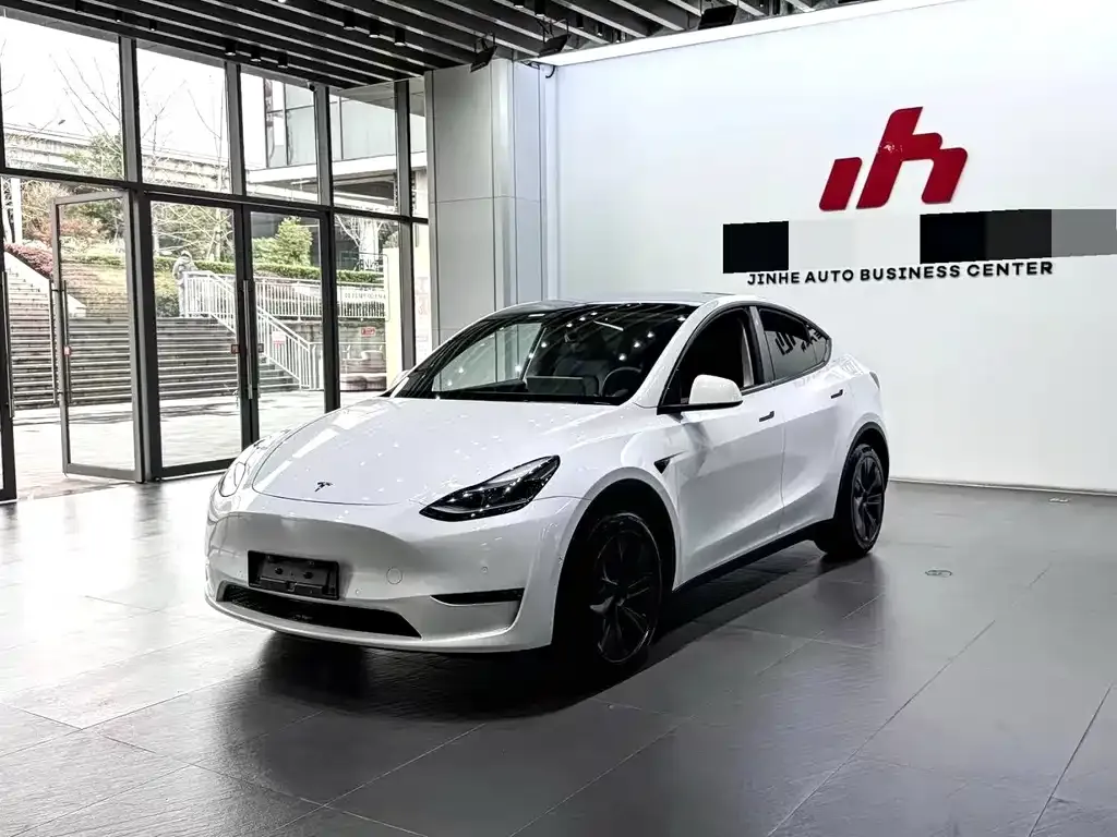 Tesla Model Y — фото 1