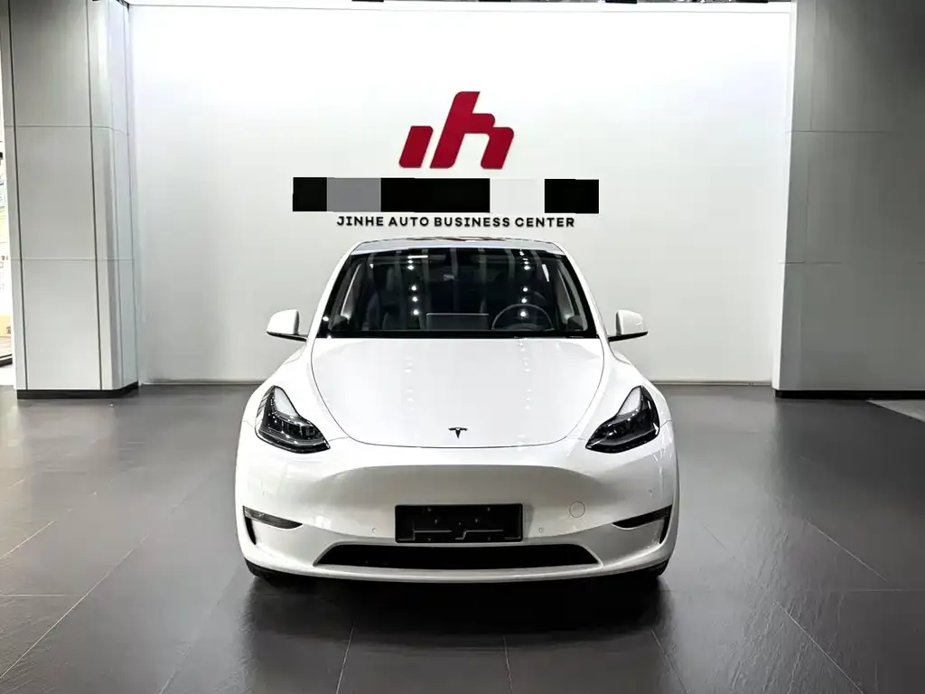 Tesla Model Y — фото 9