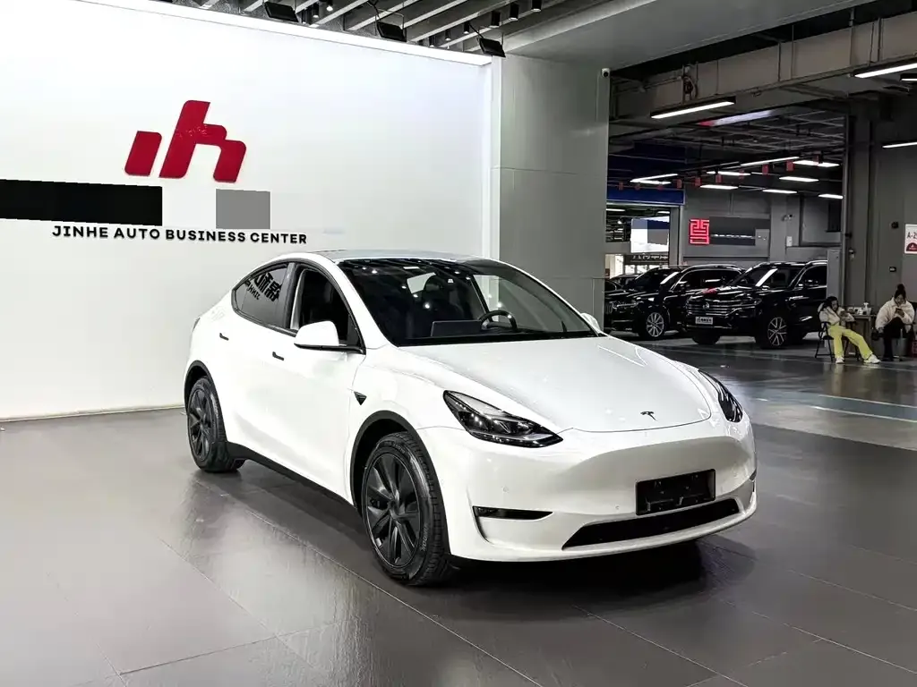 Tesla Model Y — фото 5