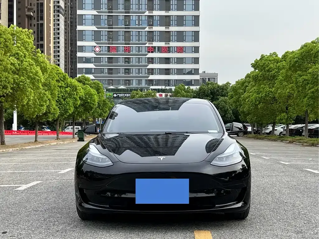 Tesla Model 3 2023 из CN, фото 3