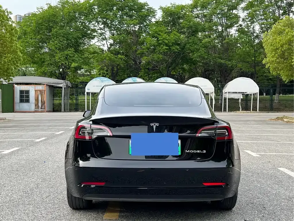 Tesla Model 3 2023 из CN, фото 6