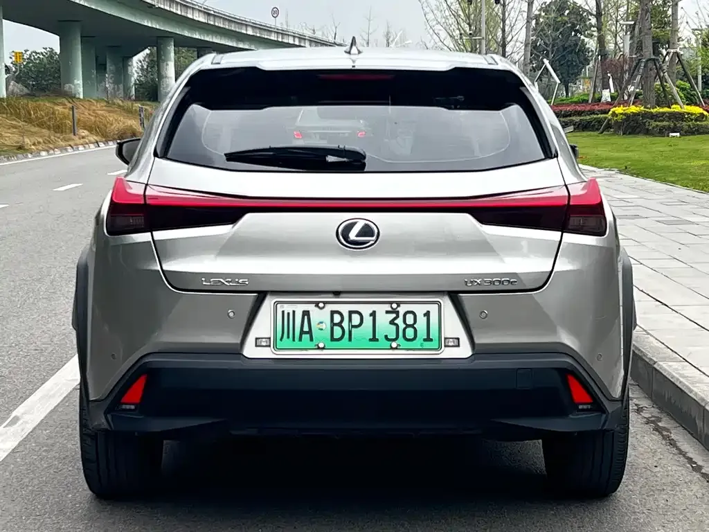 Lexus UX New Energy — фото 6