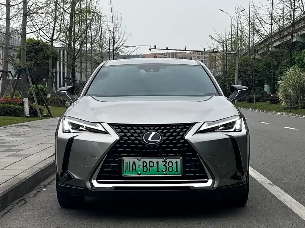 Lexus UX New Energy — фото 7