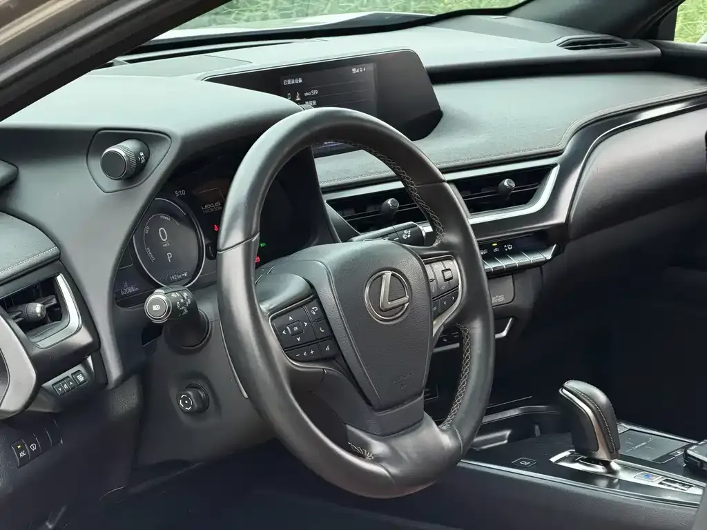 Lexus UX New Energy — фото 4