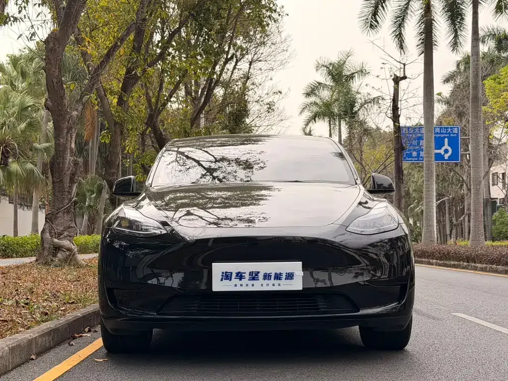 Tesla Model Y — фото 2