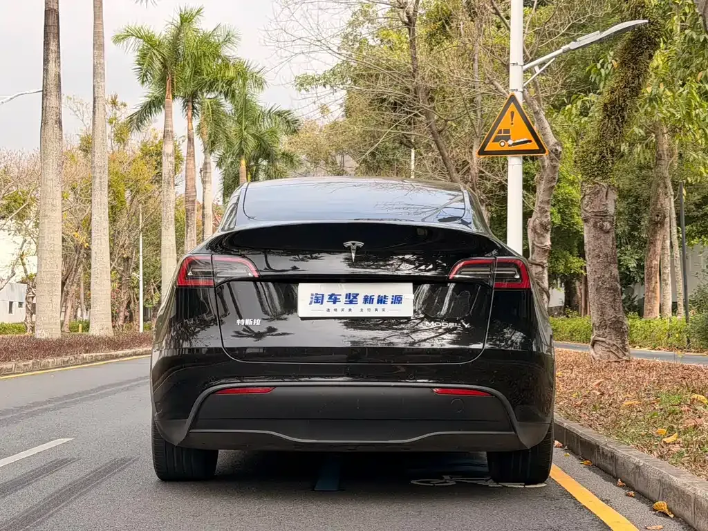 Tesla Model Y — фото 5