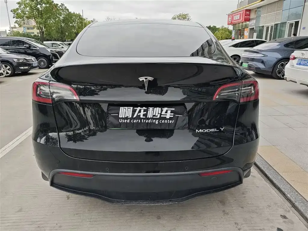 Tesla Model Y 2023 из CN, фото 9