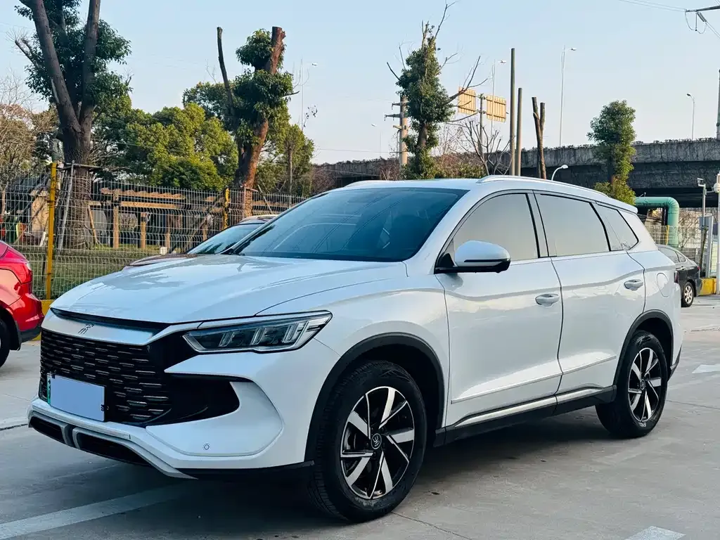 BYD Pro New Energy 2024 из CN, фото 1