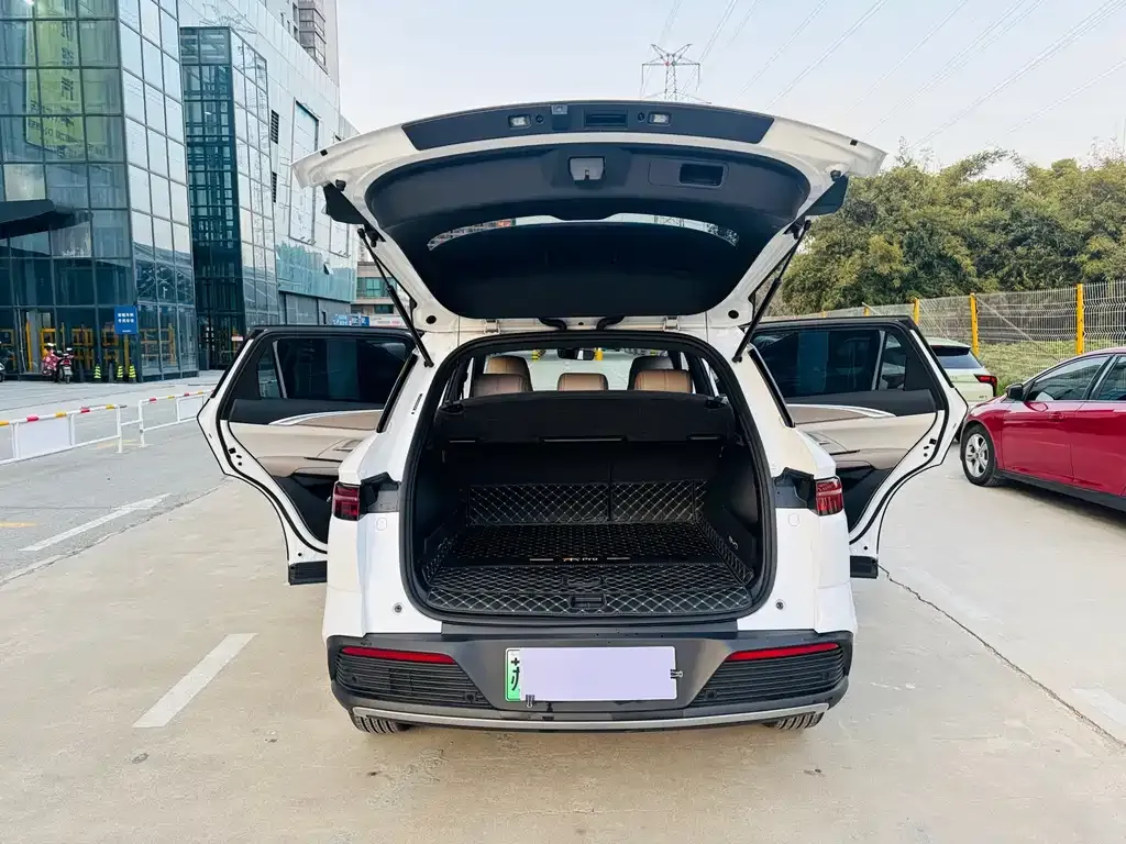 BYD Pro New Energy 2024 из CN, фото 7