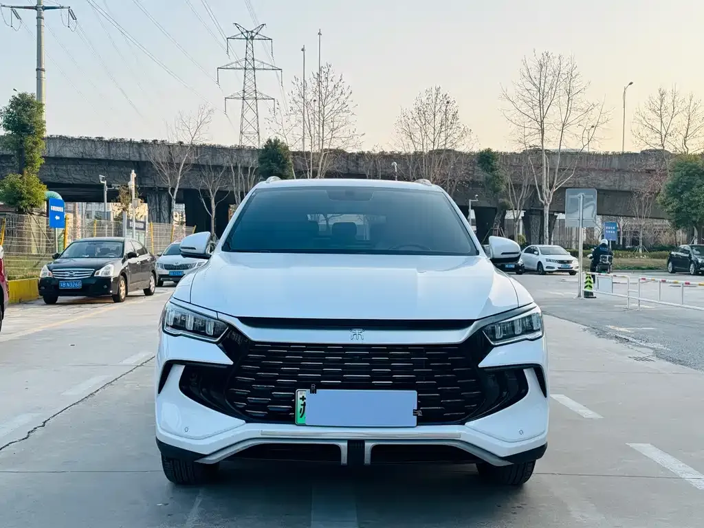 BYD Pro New Energy 2024 из CN, фото 10