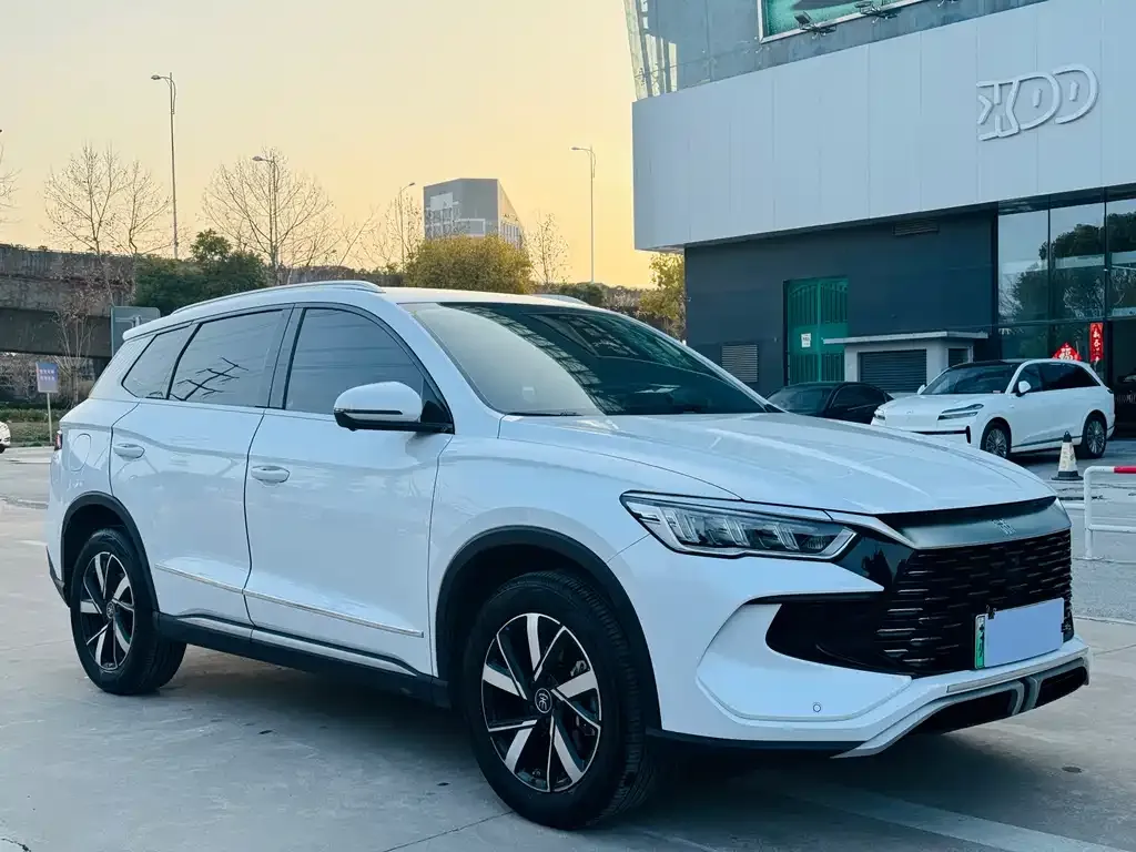 BYD Pro New Energy 2024 из CN, фото 3