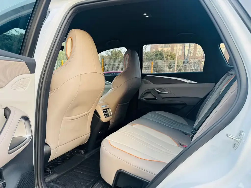 BYD Pro New Energy 2024 из CN, фото 5