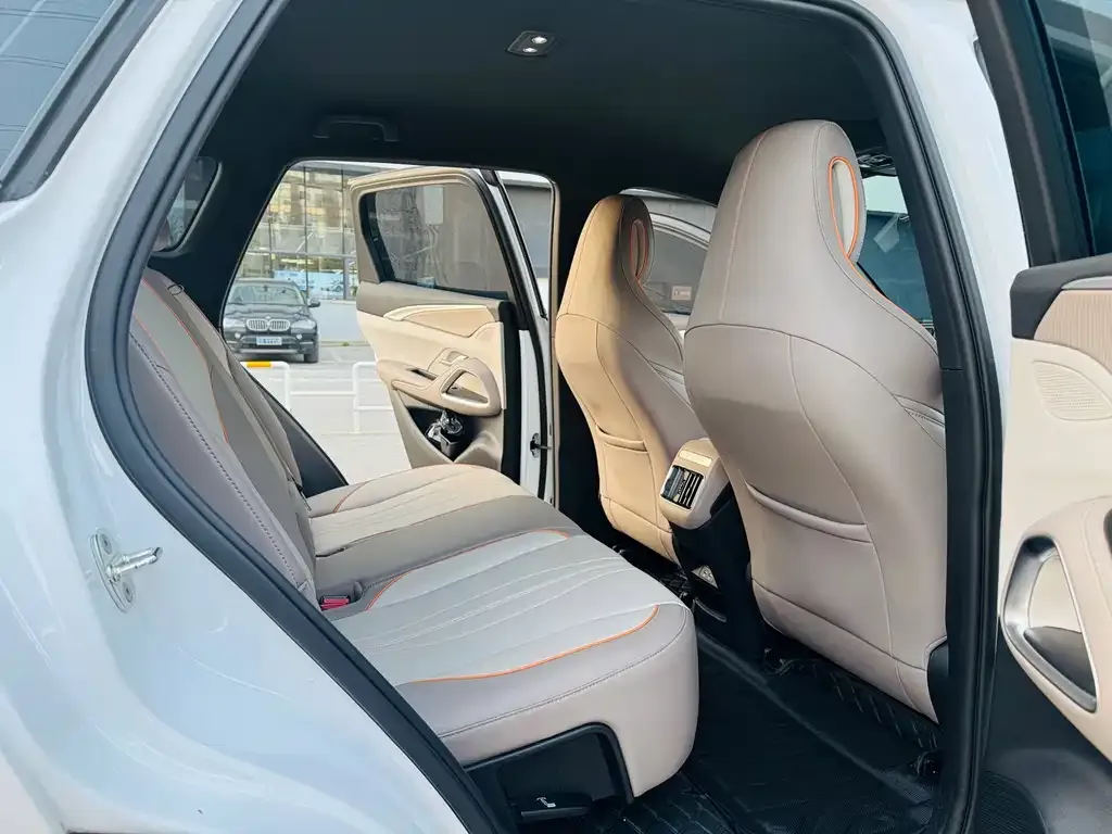BYD Pro New Energy 2024 из CN, фото 2
