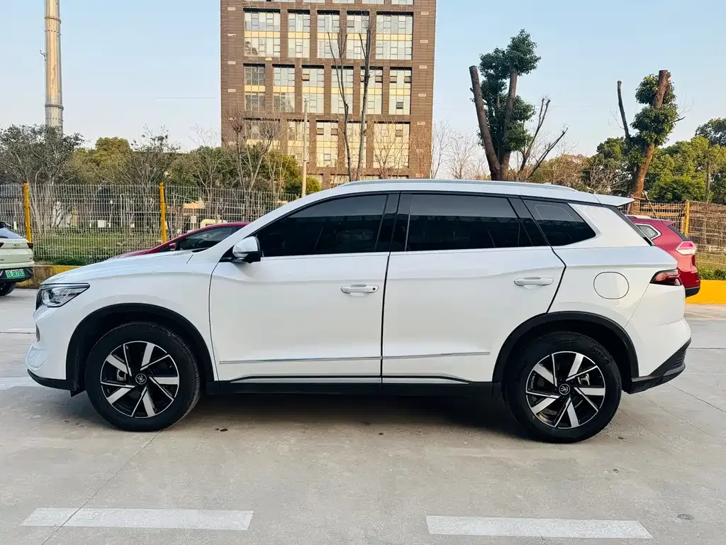 BYD Pro New Energy 2024 из CN, фото 9