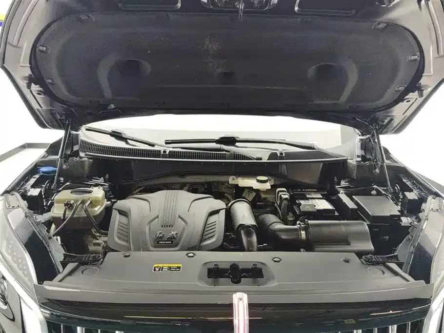Hongqi HS3 2023 из CN, фото 7