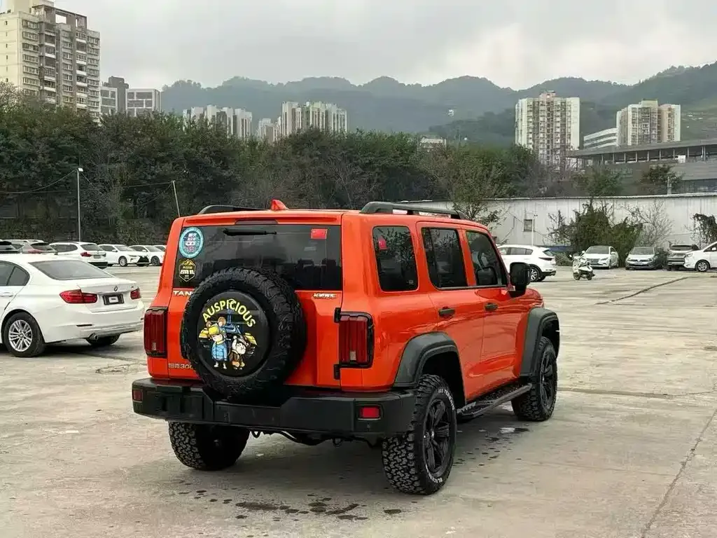 Tank 300 2022 из CN, фото 4
