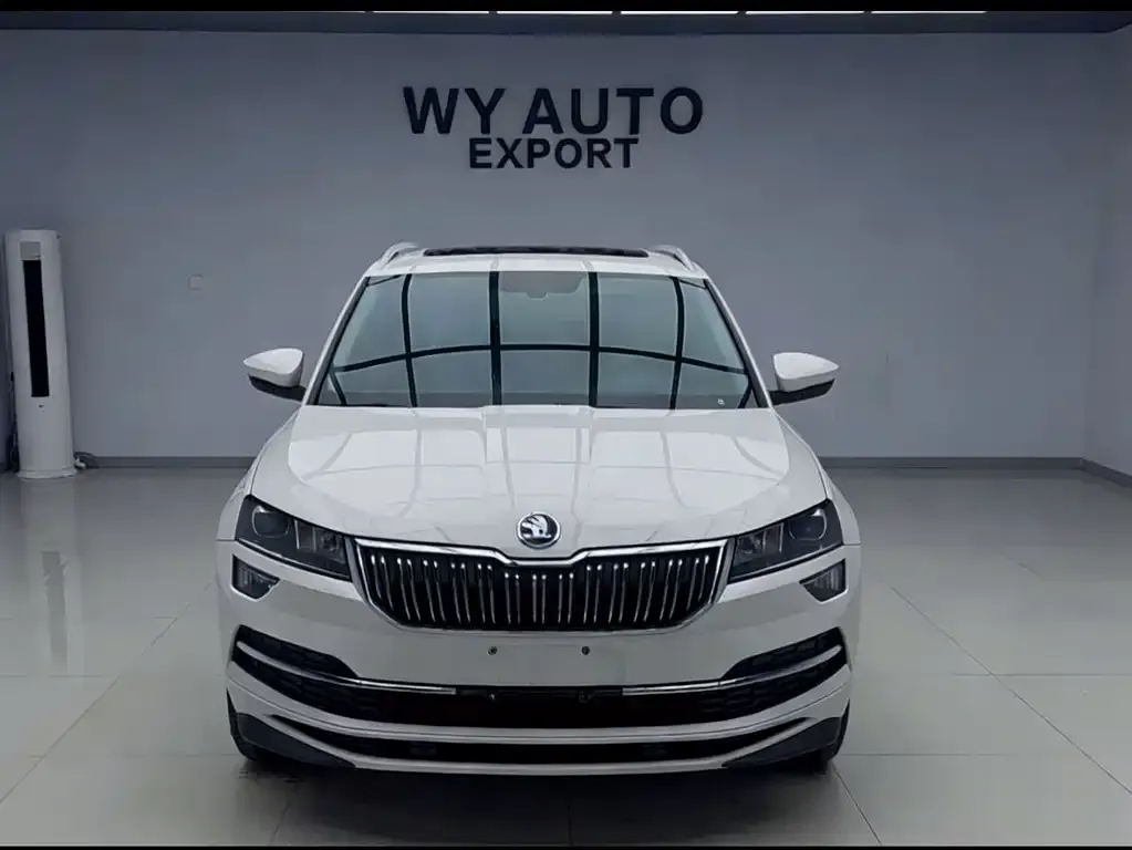 Skoda Karoq — фото 10
