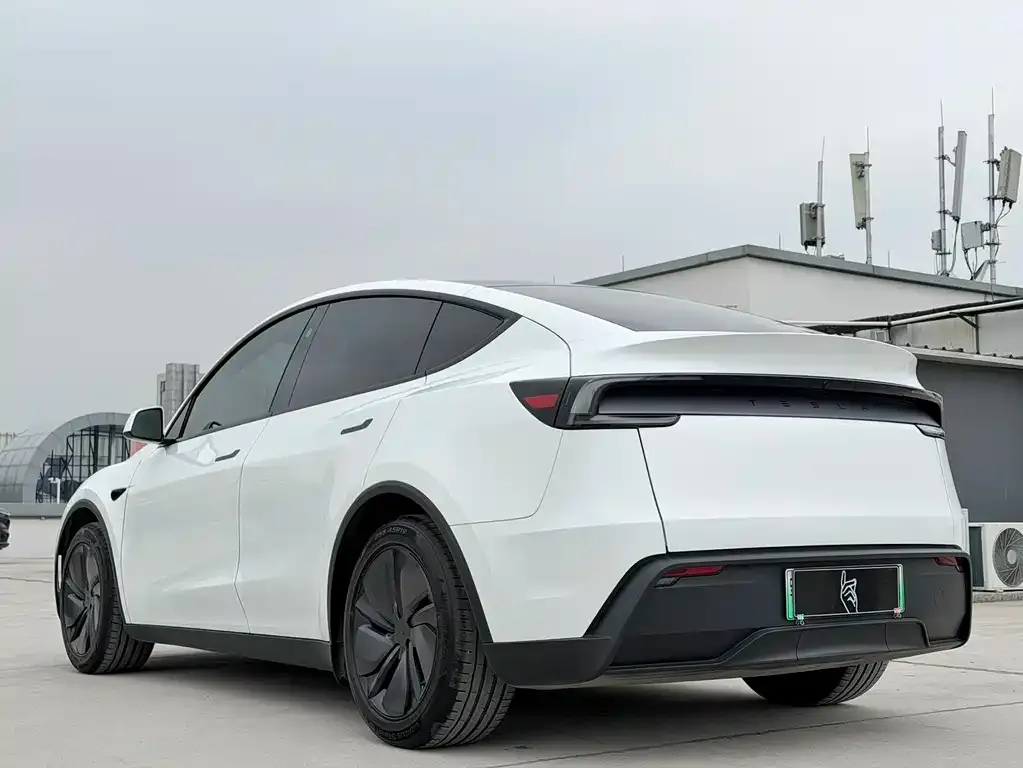 Tesla Model Y — фото 9