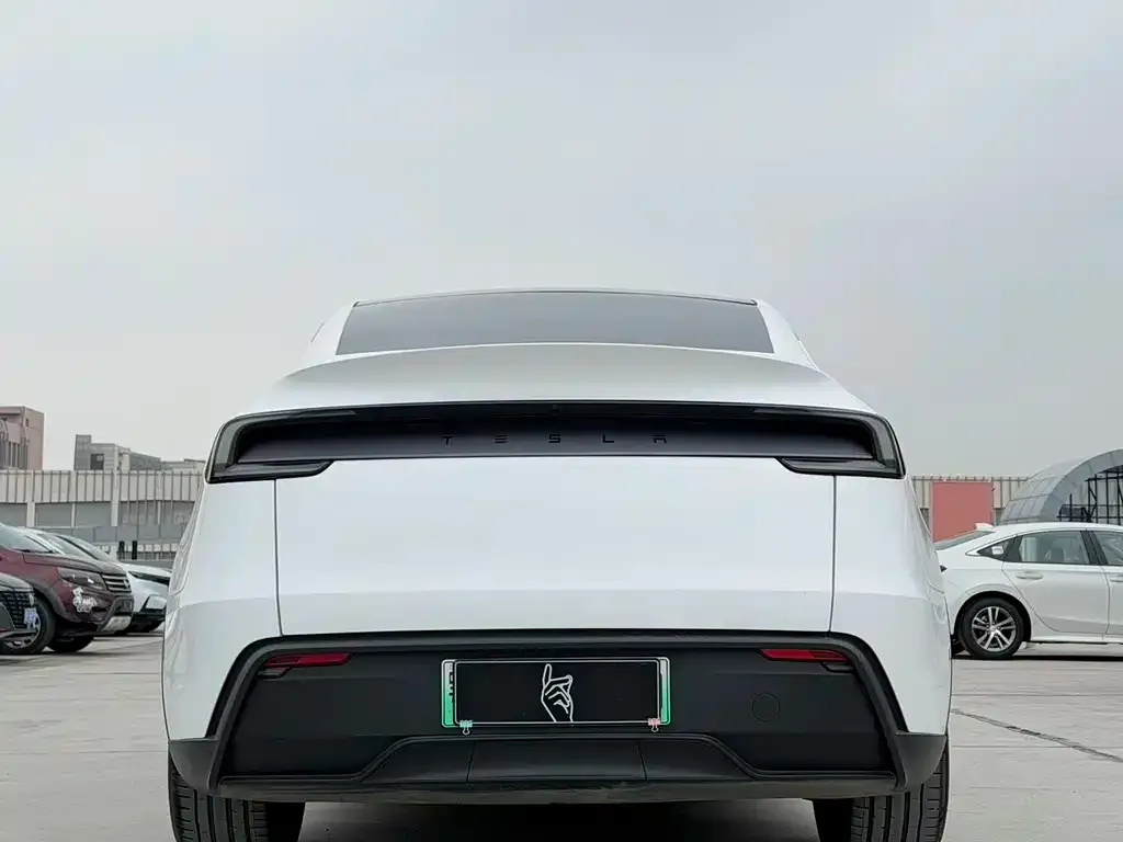 Tesla Model Y — фото 3