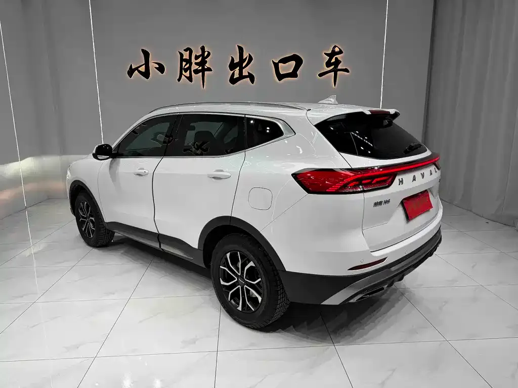 Haval H6 — фото 6