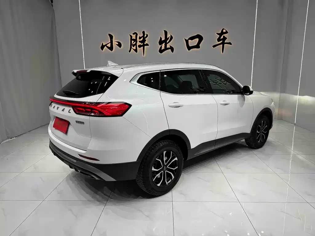 Haval H6 — фото 10
