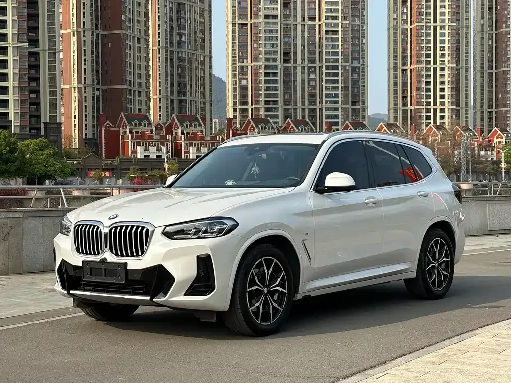 BMW X3 — фото 1