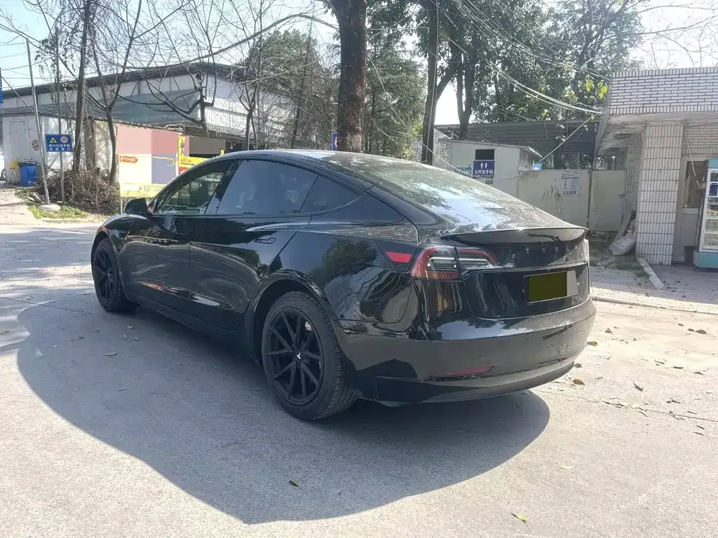 Tesla Model 3 2023 из CN, фото 5