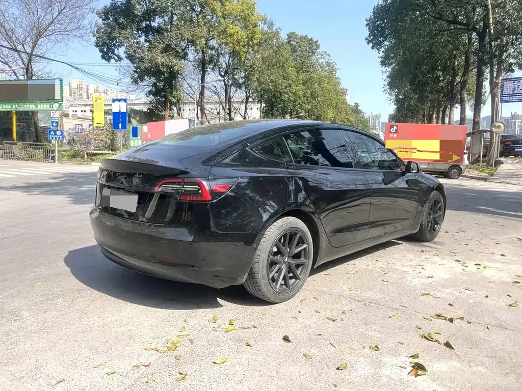 Tesla Model 3 2023 из CN, фото 6