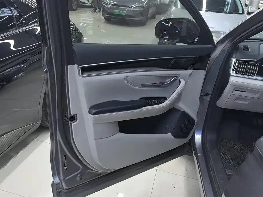 BYD PLUS New Energy — фото 10