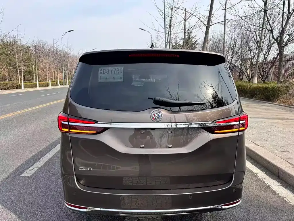 Buick GL8 2024 из CN, фото 4