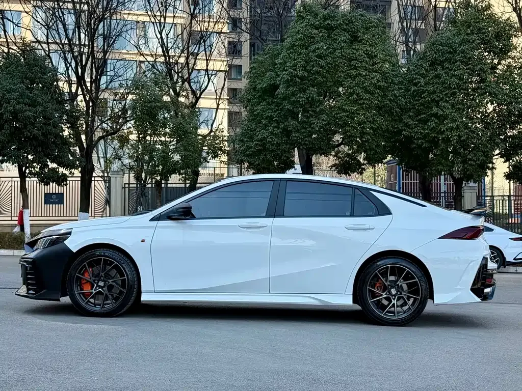 GAC Motor Shadow Leopard — фото 9