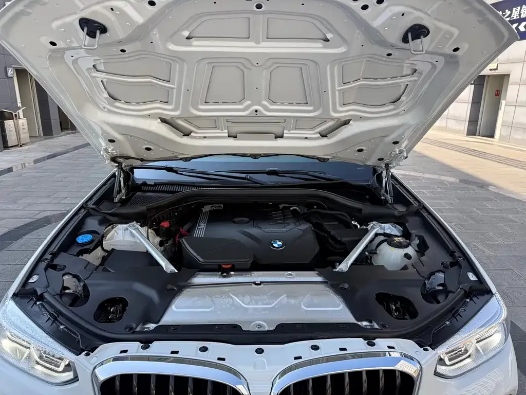 BMW X4 2021 из CN, фото 10