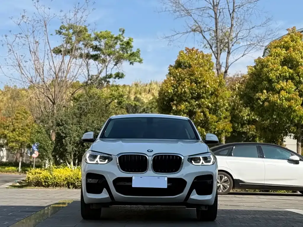 BMW X4 2021 из CN, фото 7