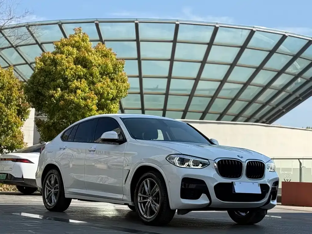 BMW X4 2021 из CN, фото 9
