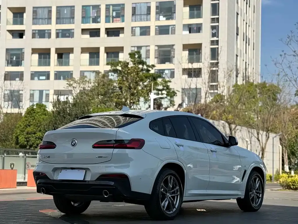 BMW X4 2021 из CN, фото 4