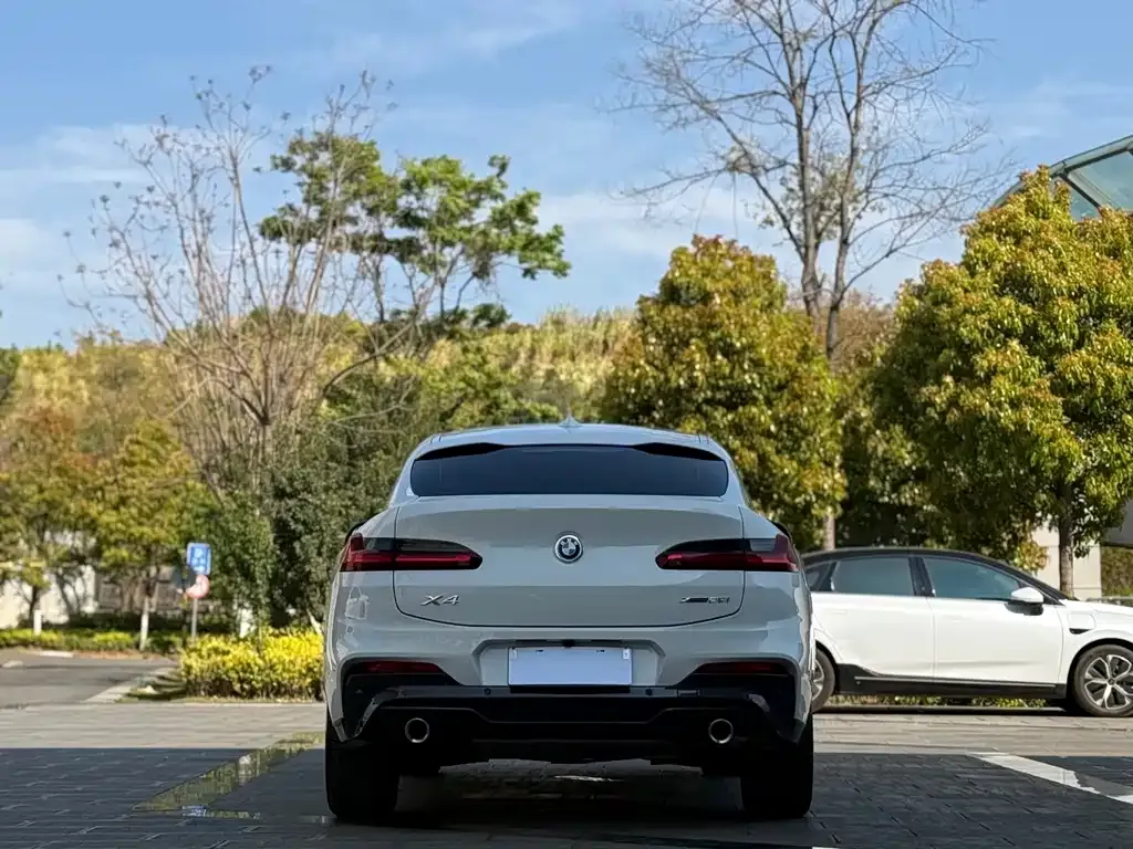 BMW X4 2021 из CN, фото 6