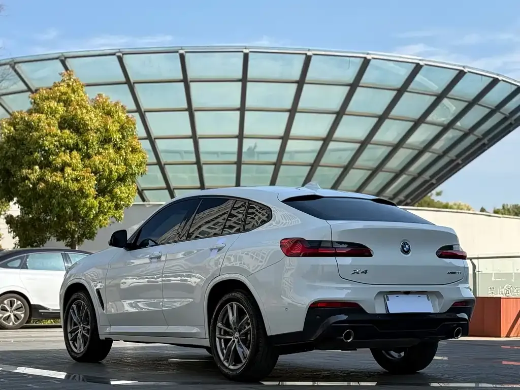 BMW X4 2021 из CN, фото 2