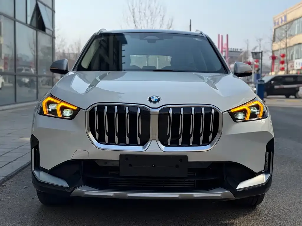 BMW X1 2023 из CN, фото 9
