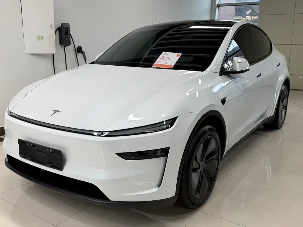 Tesla Model Y 2025 из CN, фото 1